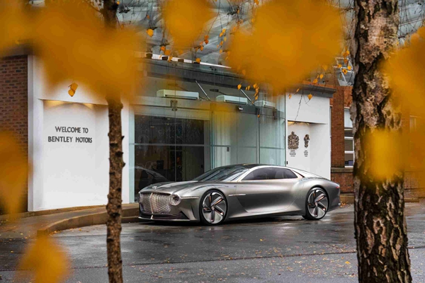 宾利汽车于百年华诞之年栽植百棵树木 (1).jpg